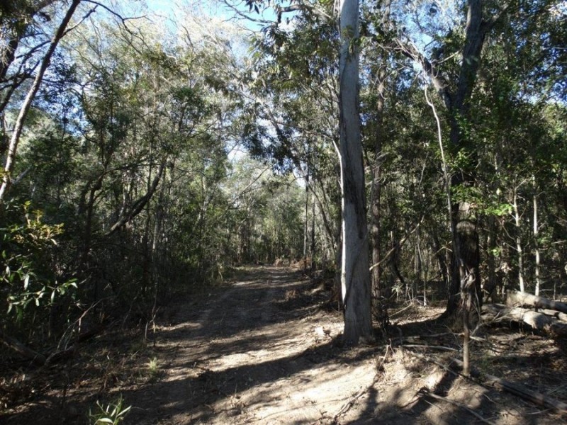 67 Jones Road, Bucca QLD 4670