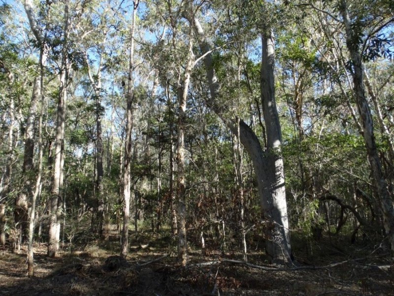 67 Jones Road, Bucca QLD 4670