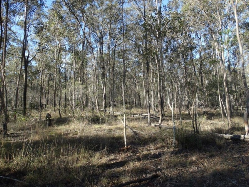 67 Jones Road, Bucca QLD 4670