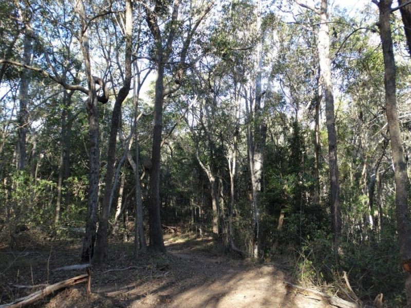 67 Jones Road, Bucca QLD 4670