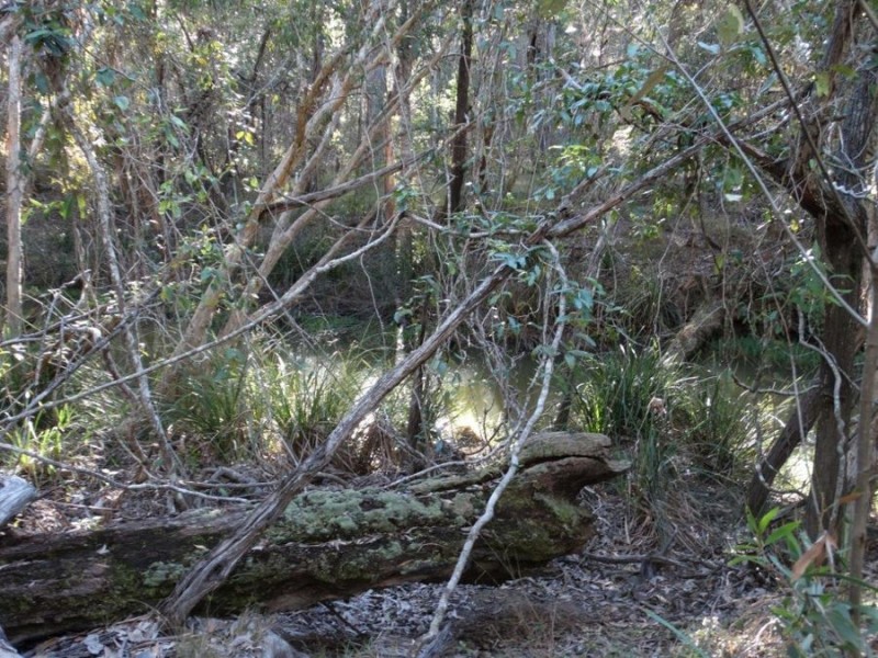 67 Jones Road, Bucca QLD 4670