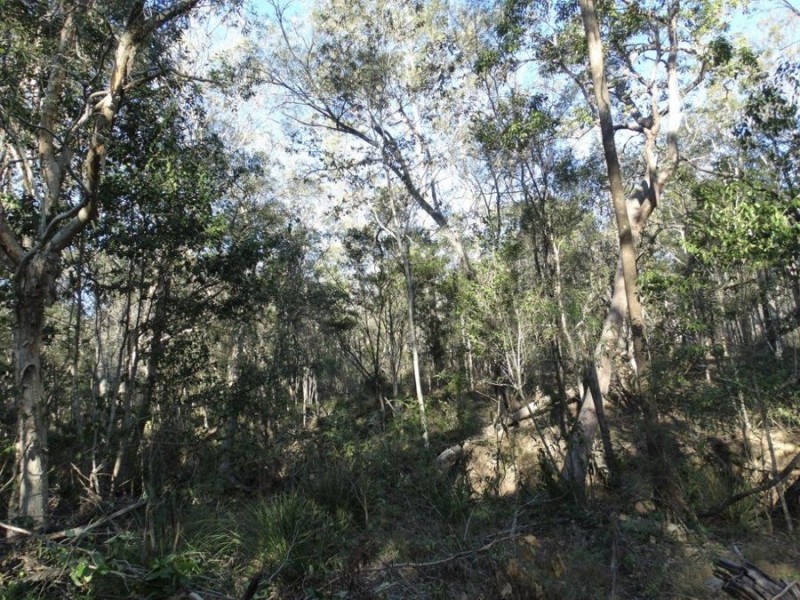 67 Jones Road, Bucca QLD 4670