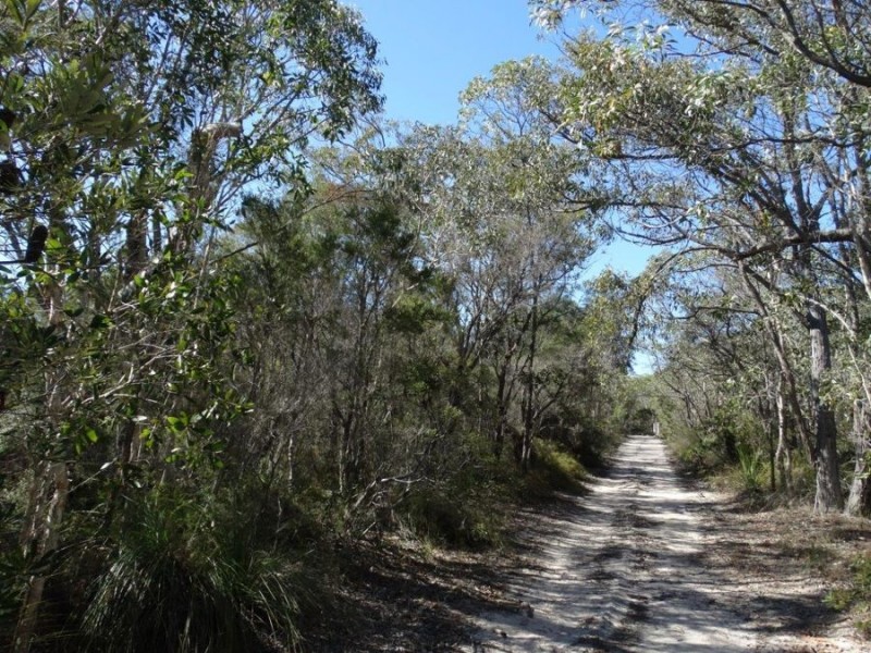 205 Lindy Drive, Rules Beach QLD 4674