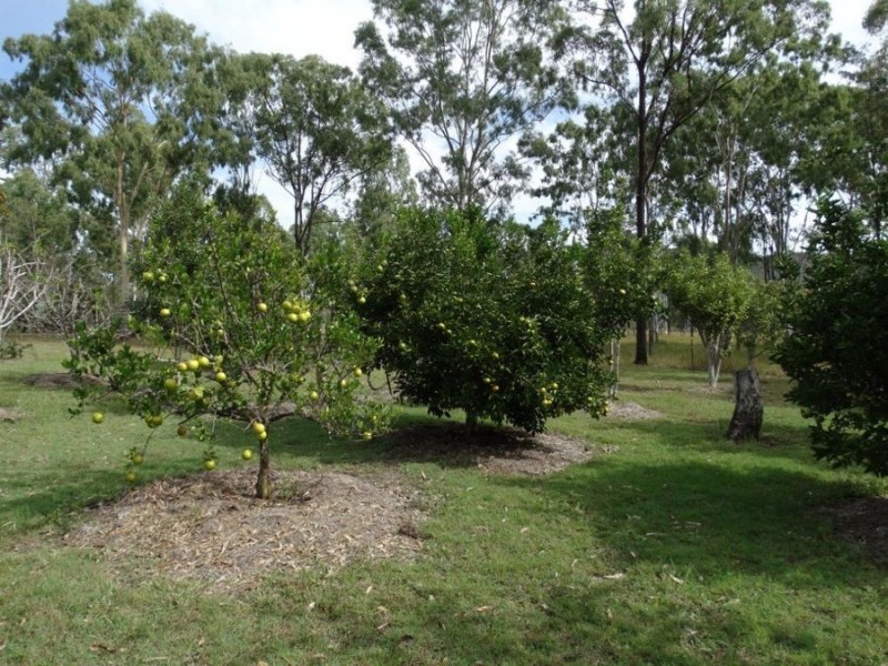 1059 Hills Road, Mount Maria QLD 4674