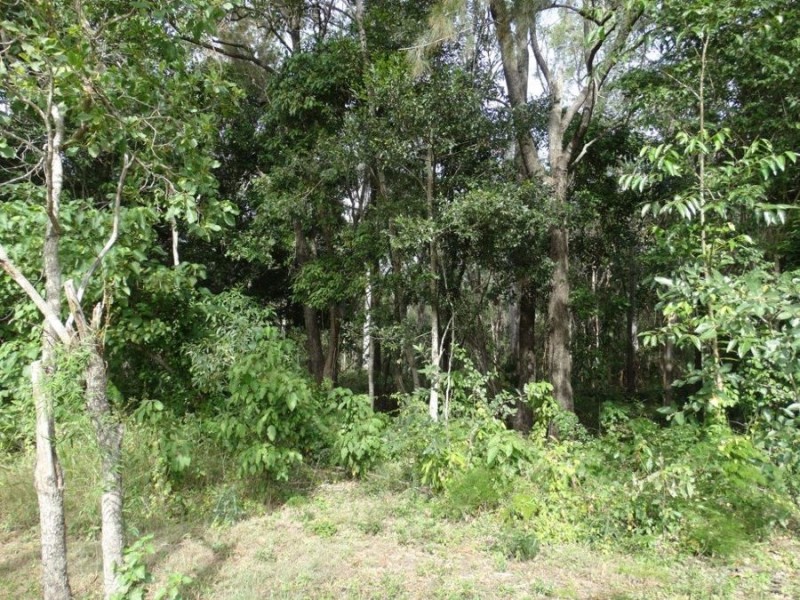 1059 Hills Road, Mount Maria QLD 4674