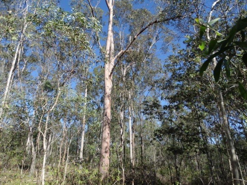 Lot 8 Cross Road, Euleilah QLD 4674