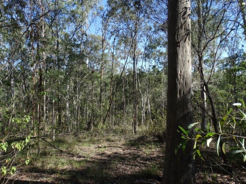 Lot 8 Cross Road, Euleilah QLD 4674