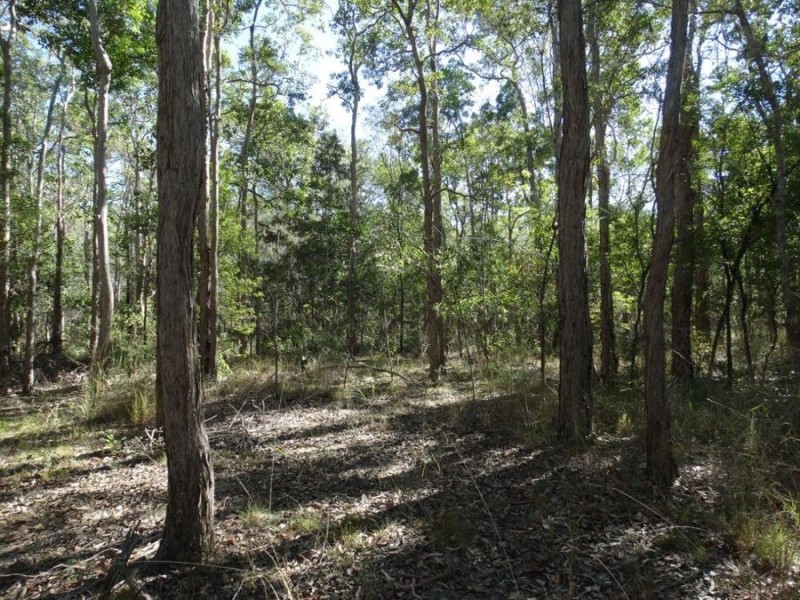 Lot 8 Cross Road, Euleilah QLD 4674