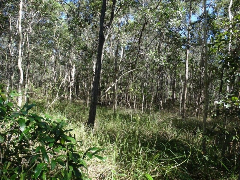 Lot 8 Cross Road, Euleilah QLD 4674