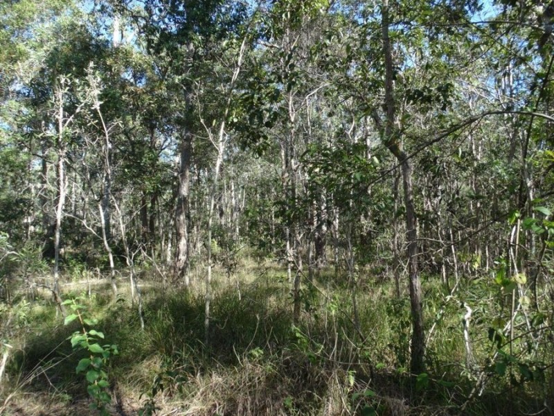 Lot 8 Cross Road, Euleilah QLD 4674