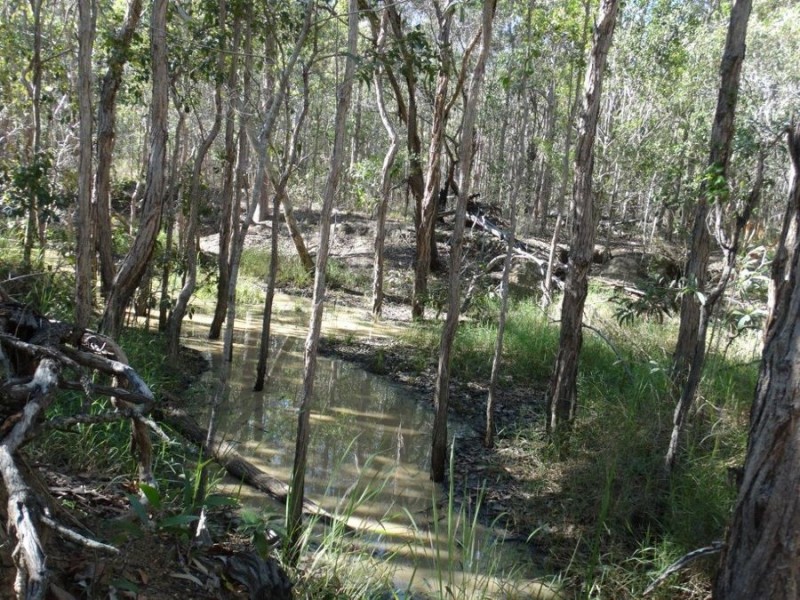 Lot 8 Cross Road, Euleilah QLD 4674