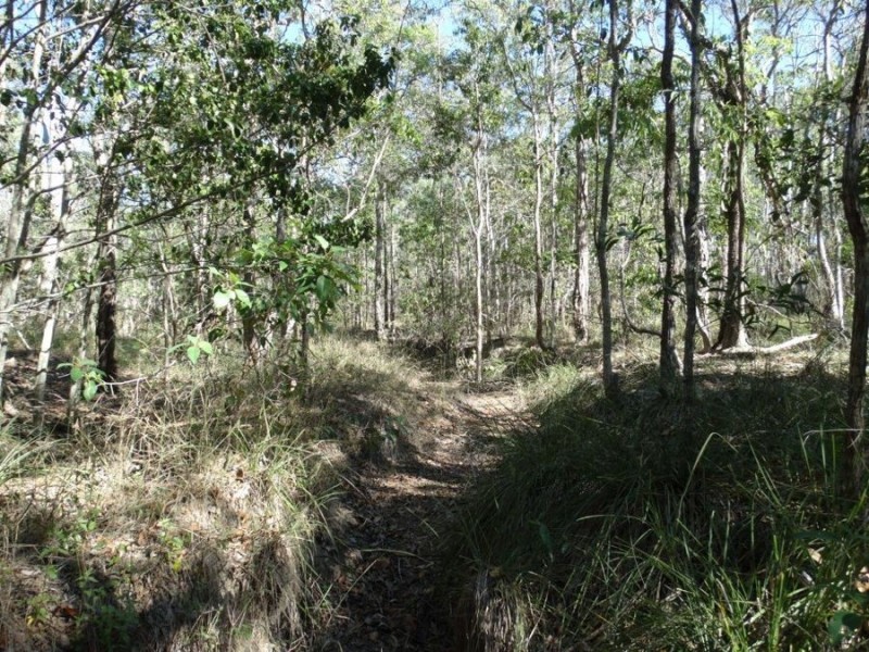 Lot 8 Cross Road, Euleilah QLD 4674