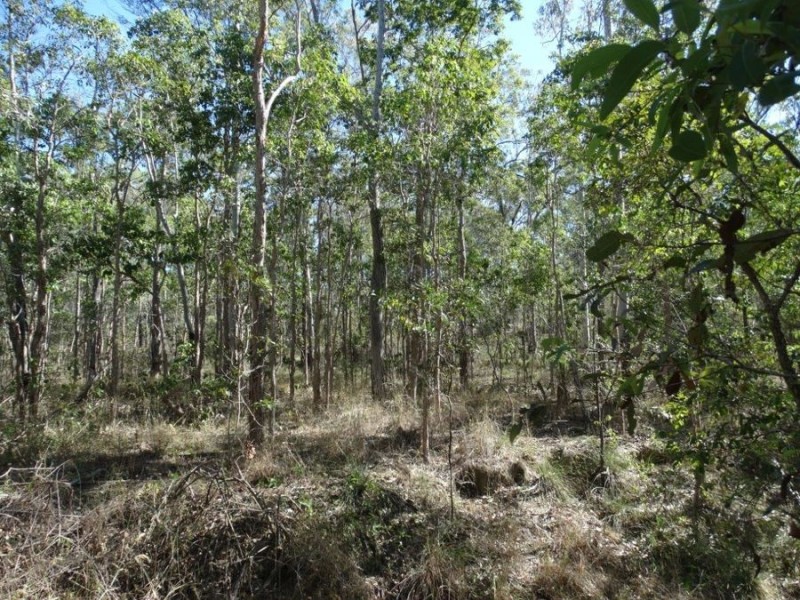 Lot 8 Cross Road, Euleilah QLD 4674