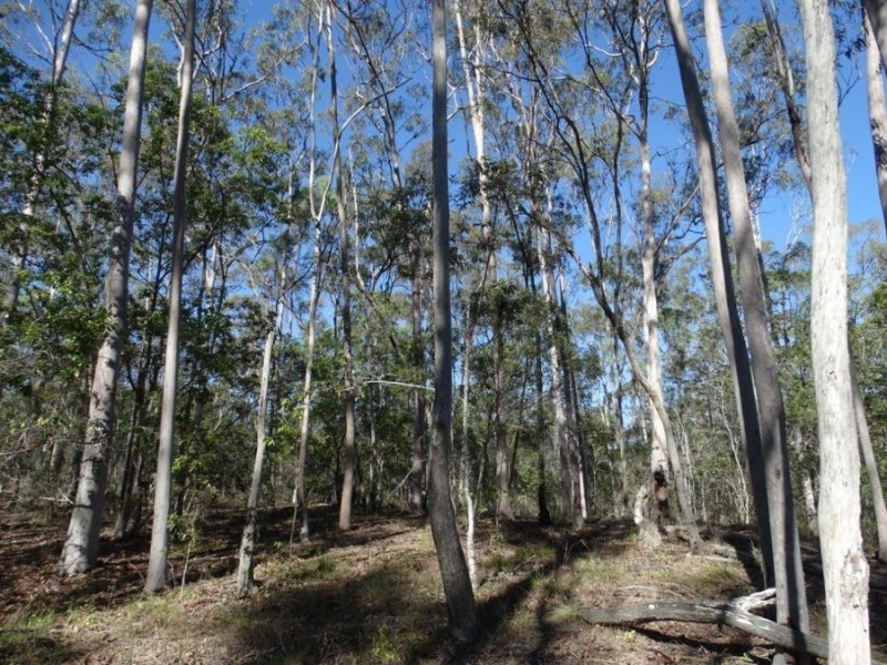 Lot 8 Cross Road, Euleilah QLD 4674