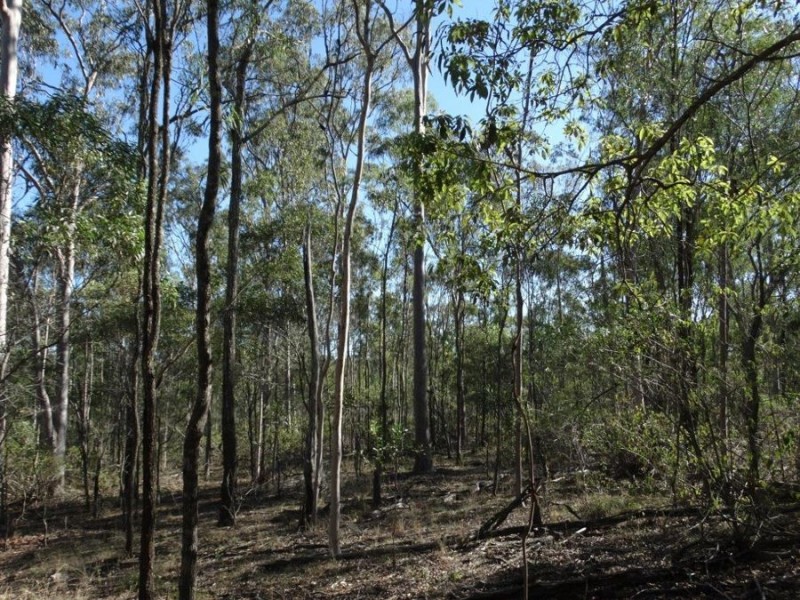Lot 8 Cross Road, Euleilah QLD 4674