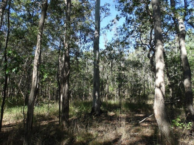 Lot 8 Cross Road, Euleilah QLD 4674