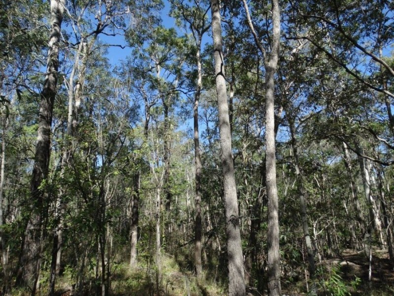 Lot 8 Cross Road, Euleilah QLD 4674