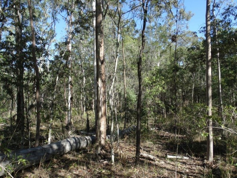 Lot 8 Cross Road, Euleilah QLD 4674