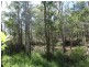 Lot 8 Cross Road, Euleilah QLD 4674