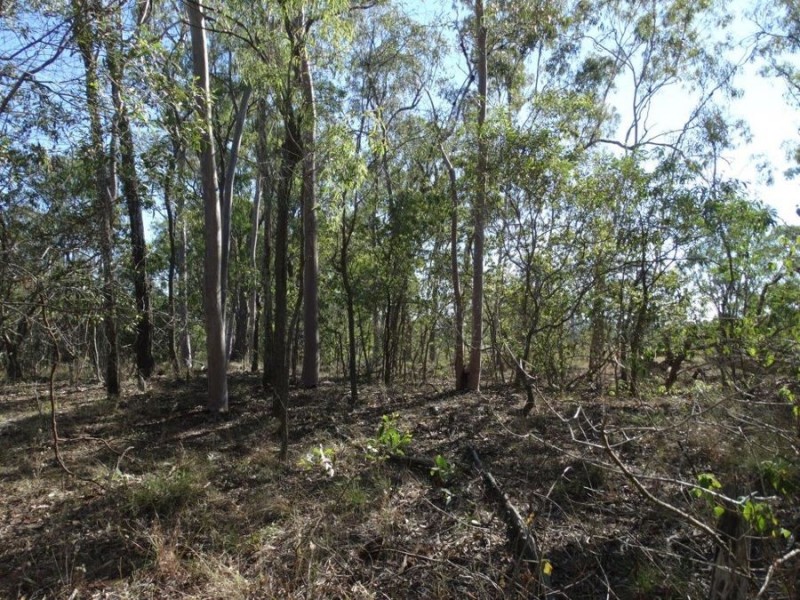 Lot 8 Cross Road, Euleilah QLD 4674