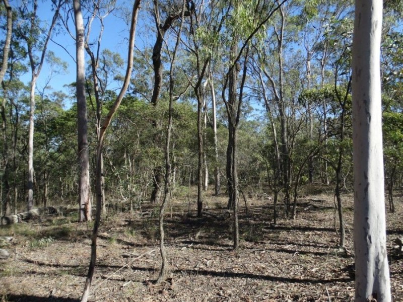 Lot 8 Cross Road, Euleilah QLD 4674
