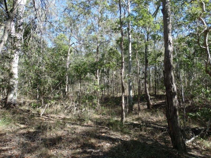 Lot 8 Cross Road, Euleilah QLD 4674