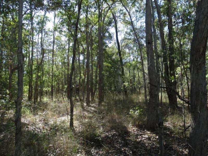 Lot 8 Cross Road, Euleilah QLD 4674