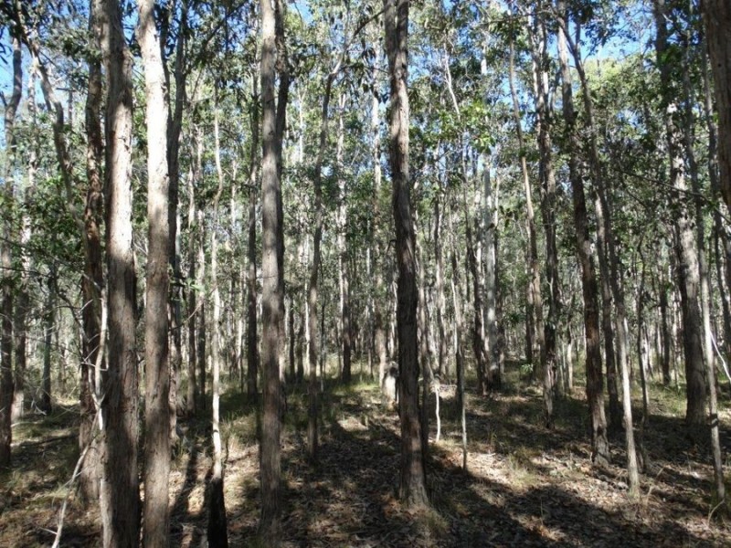 Lot 8 Cross Road, Euleilah QLD 4674