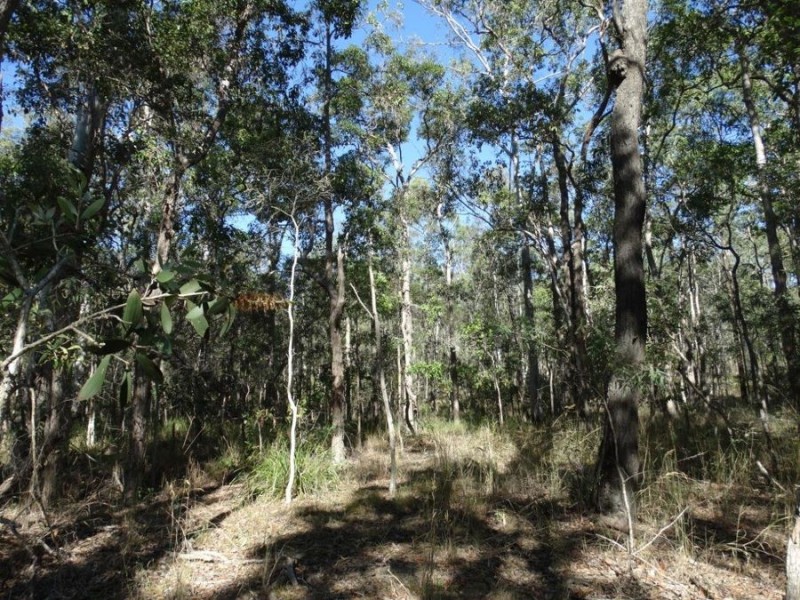 Lot 8 Cross Road, Euleilah QLD 4674