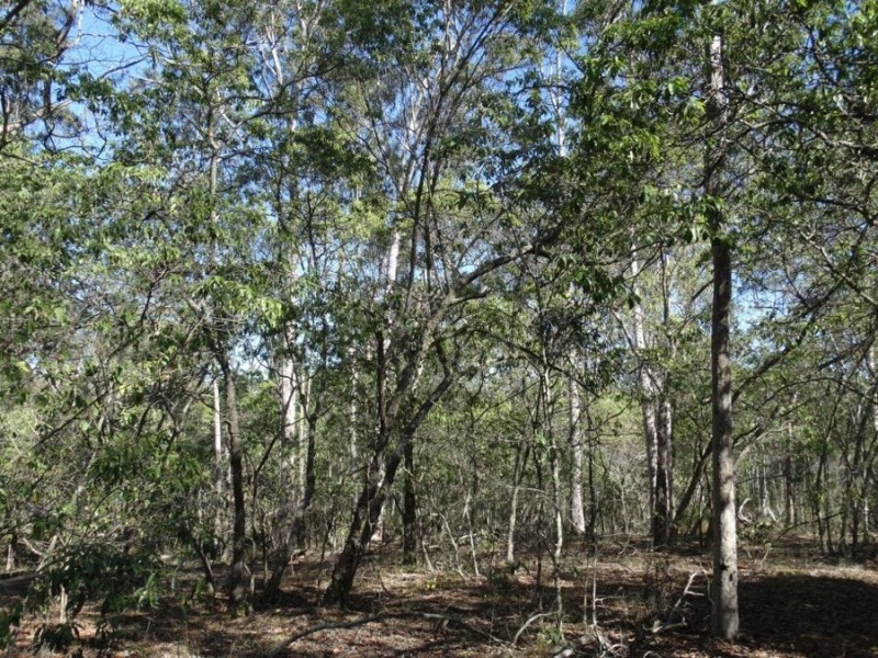 Lot 8 Cross Road, Euleilah QLD 4674