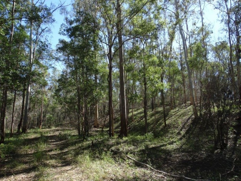 Lot 102 Diamond Hill Road, Rosedale QLD 4674
