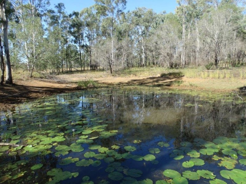 Lot 102 Diamond Hill Road, Rosedale QLD 4674