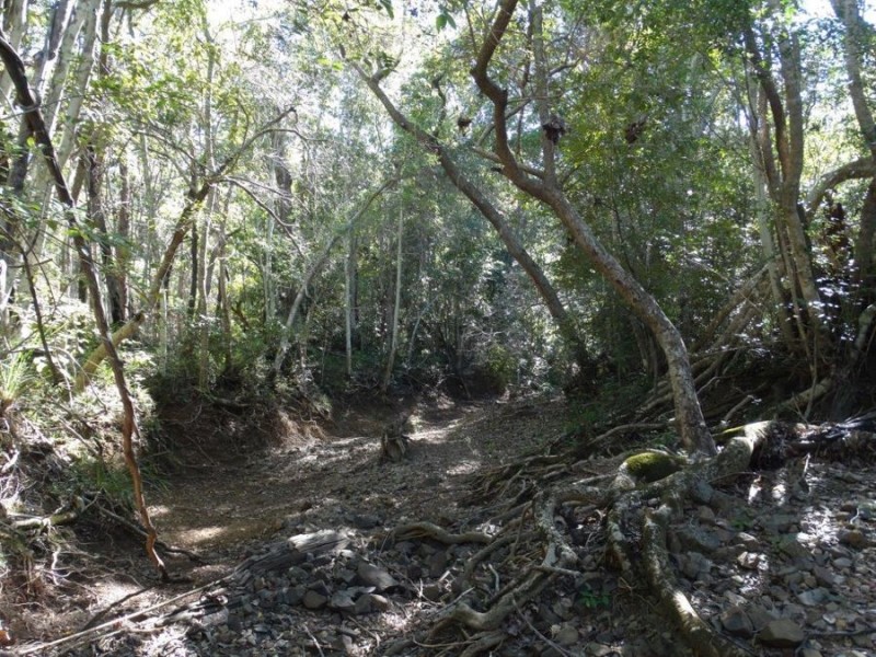 Lot 102 Diamond Hill Road, Rosedale QLD 4674