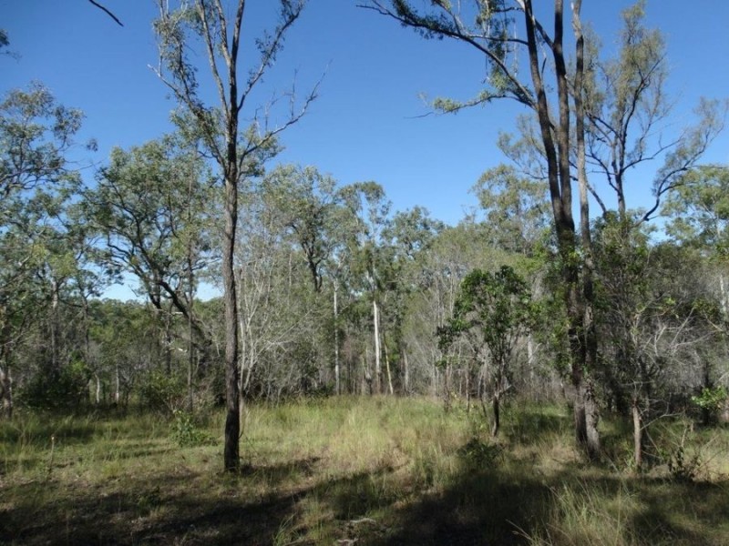 Lot 102 Diamond Hill Road, Rosedale QLD 4674