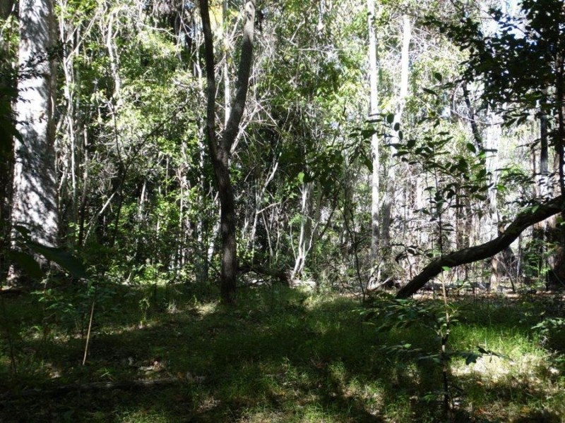 Lot 102 Diamond Hill Road, Rosedale QLD 4674