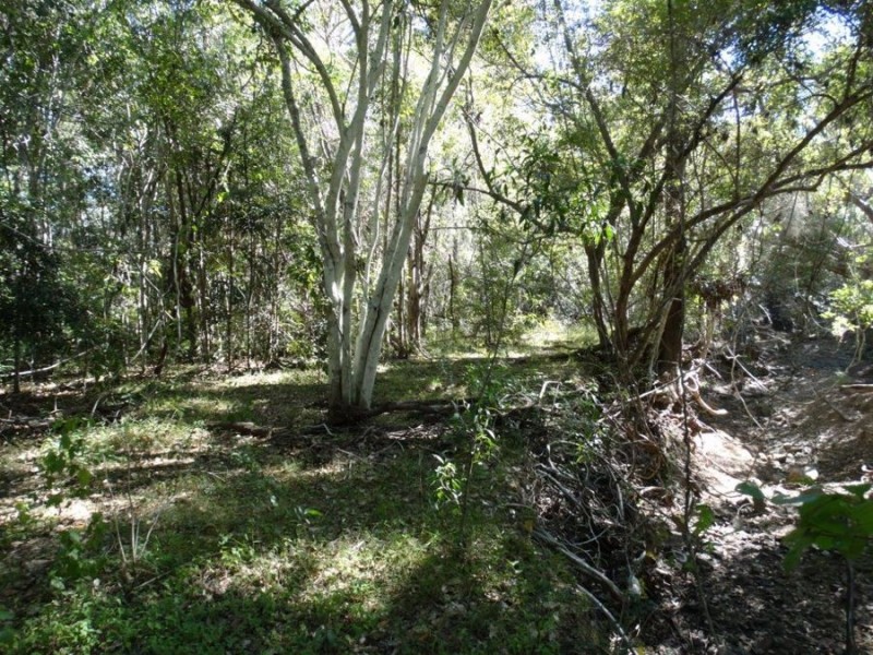 Lot 102 Diamond Hill Road, Rosedale QLD 4674