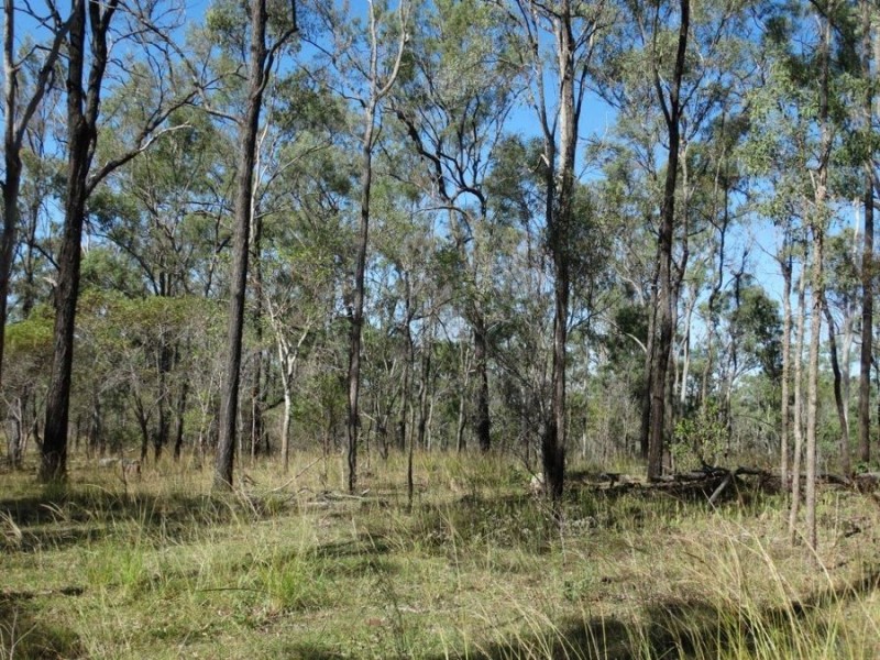 Lot 102 Diamond Hill Road, Rosedale QLD 4674