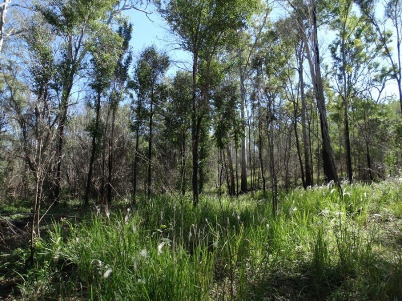 Lot 102 Diamond Hill Road, Rosedale QLD 4674