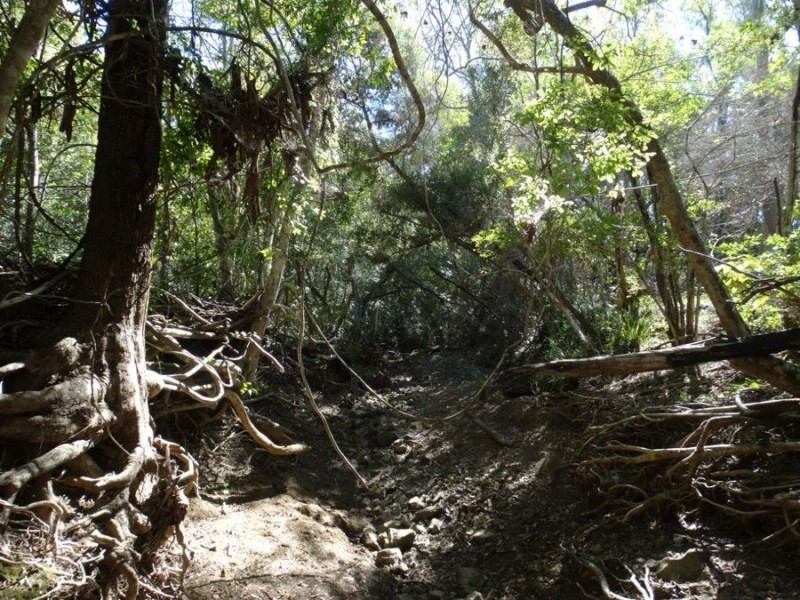 Lot 102 Diamond Hill Road, Rosedale QLD 4674