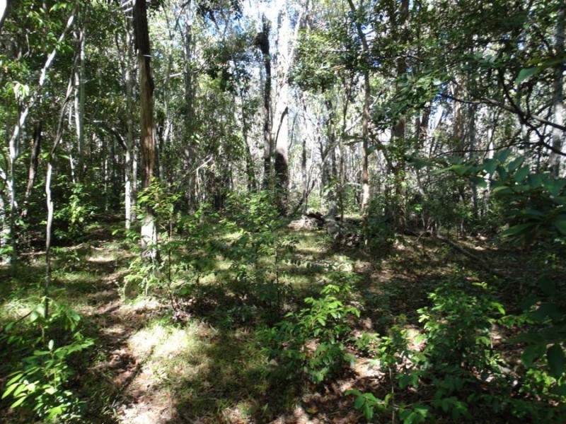 Lot 102 Diamond Hill Road, Rosedale QLD 4674