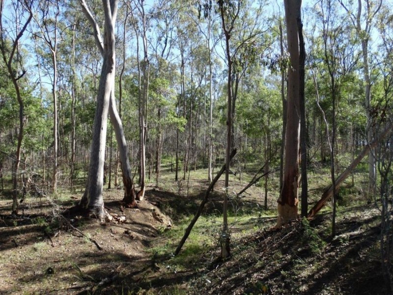 Lot 102 Diamond Hill Road, Rosedale QLD 4674