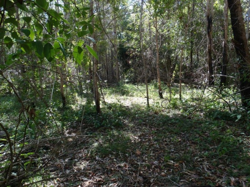 Lot 102 Diamond Hill Road, Rosedale QLD 4674