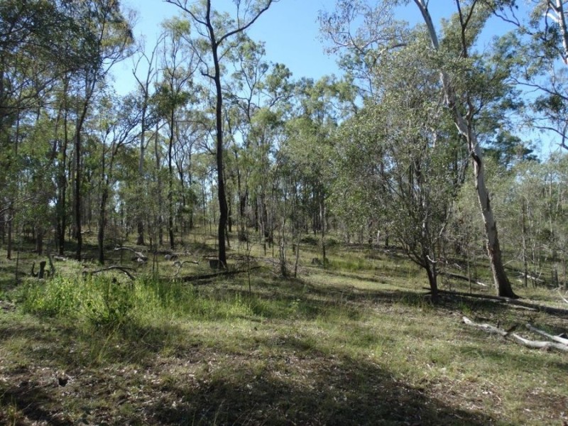 Lot 102 Diamond Hill Road, Rosedale QLD 4674