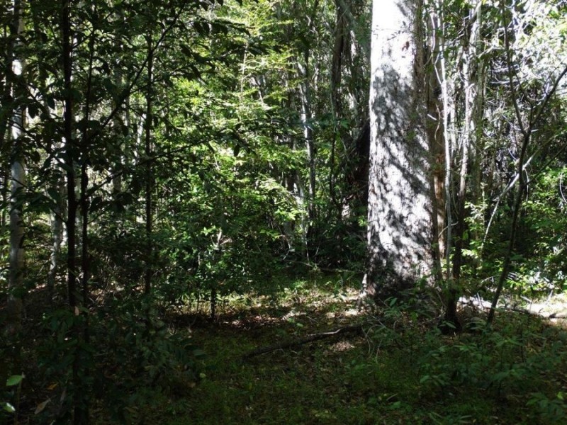 Lot 102 Diamond Hill Road, Rosedale QLD 4674