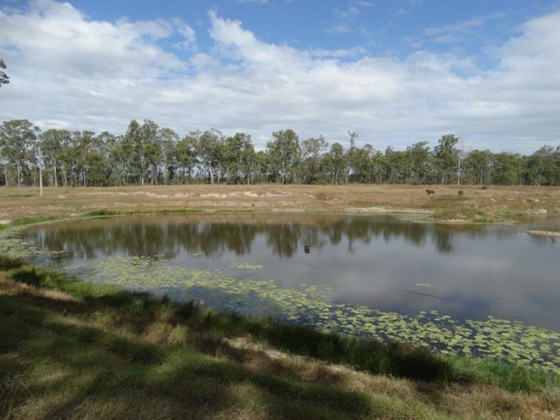 1042 Lowmead Road, Colosseum QLD 4677