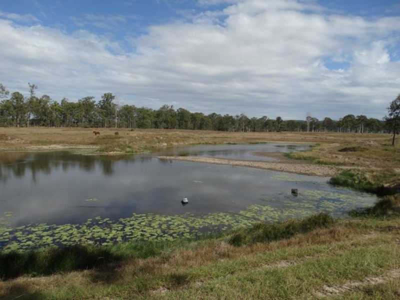 1042 Lowmead Road, Colosseum QLD 4677