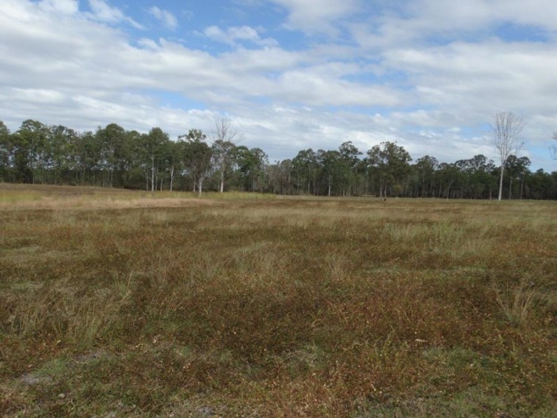 1042 Lowmead Road, Colosseum QLD 4677