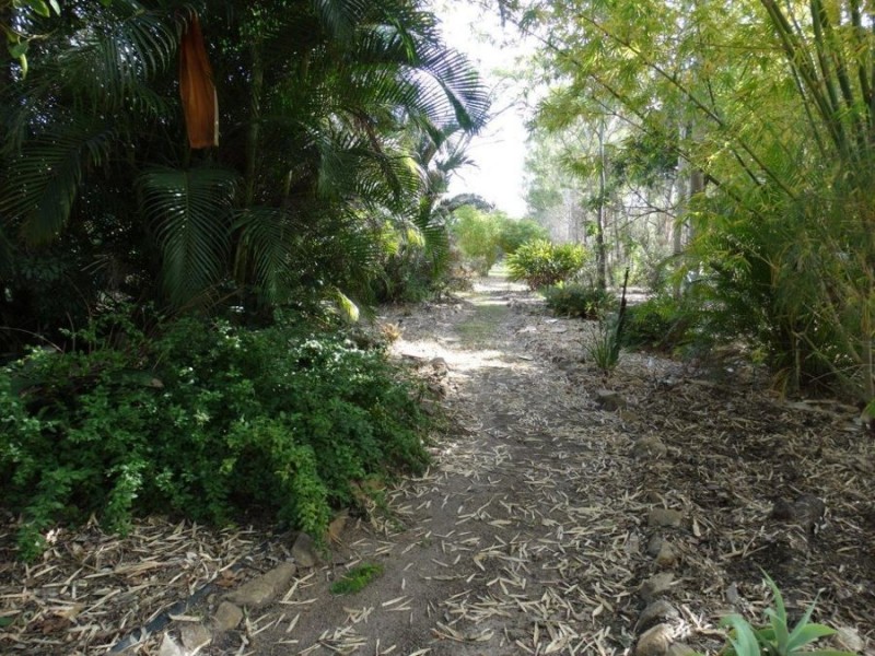 1042 Lowmead Road, Colosseum QLD 4677