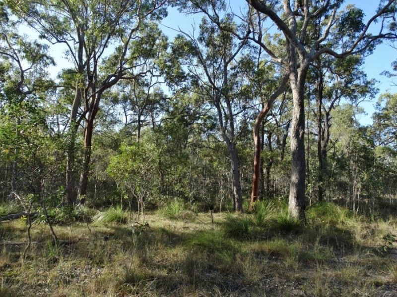 Lot 65 Dale Drive, Rules Beach QLD 4674