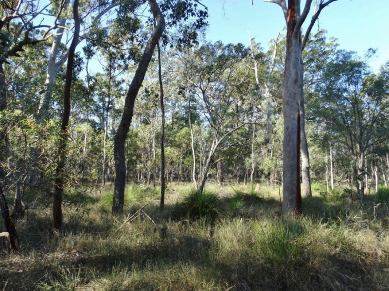 Lot 65 Dale Drive, Rules Beach QLD 4674